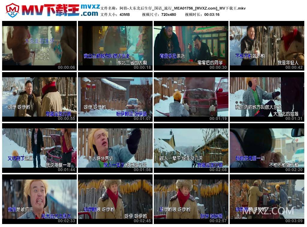 阿伟-大东北后生仔_国语_流行_MEA01756